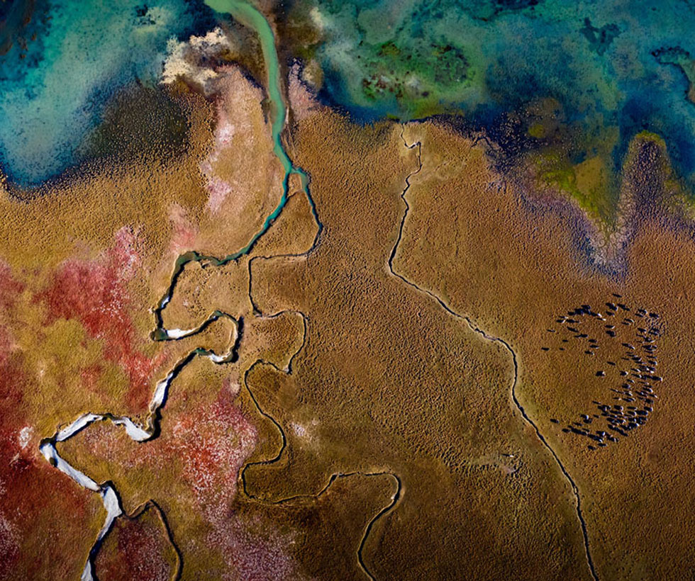 Zhang Jiyuan - Multicolored