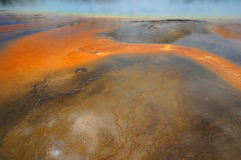 1._Metzakis_Manolis_Yellowstone