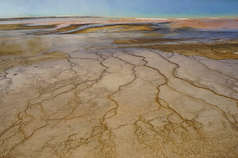 8._Metzakis_Manolis_Yellowstone