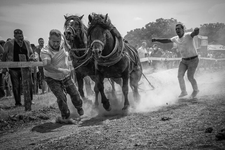 Race
