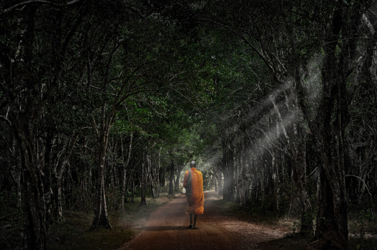 10 Path_To_Freedom