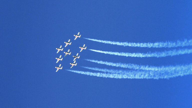 9.Snow_Birds_Spin