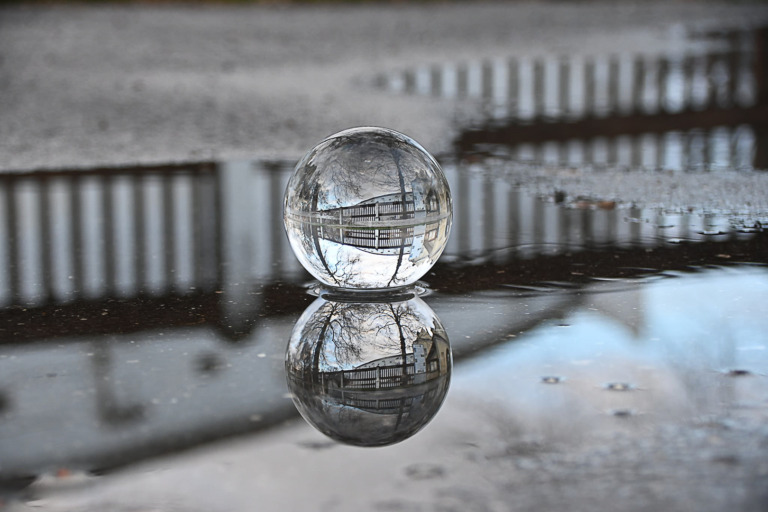 Bartha_Erika - My reflection