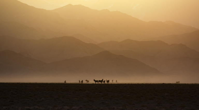 Bu_Jianping - Under Kunlun Mountains