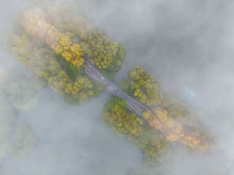 Chen_Kunping - Autumn scenery of West Lake