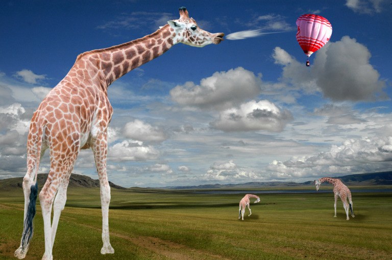 Gérard_barbier - Gerard BARBIER Girafe 