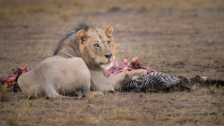 Larry_Tho_Dao - Time to Enjoy My Meal