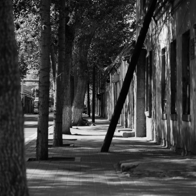 Li_Yang - Different world 10