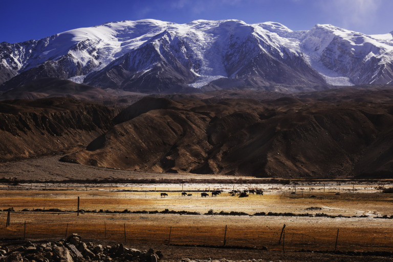Liu_Yihu - Pasture beneath snow mountains