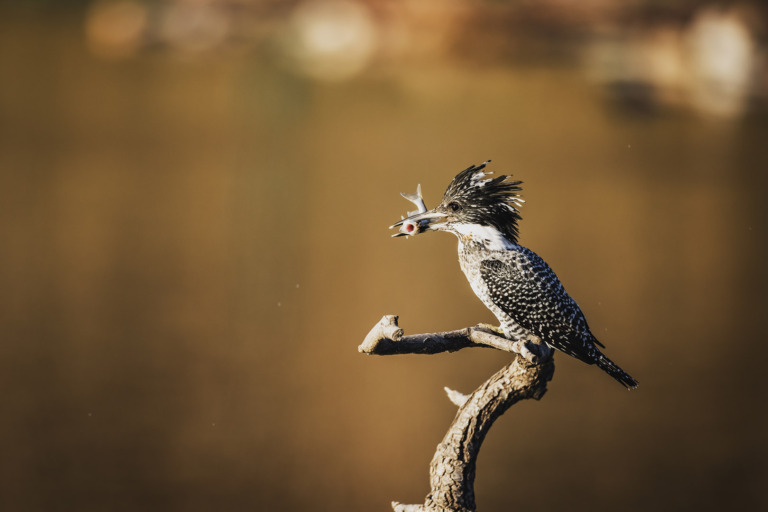 Liu_Yihu - The Photography Journey 2