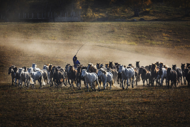 Liu_Yihu - Urge horses with whips