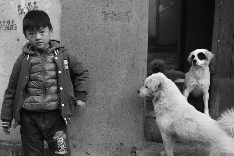 Luo_Jin - Boy and puppy dog