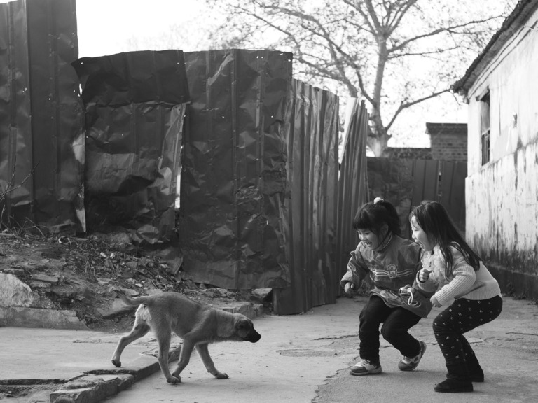 Luo_Jin - The puppys coming Run