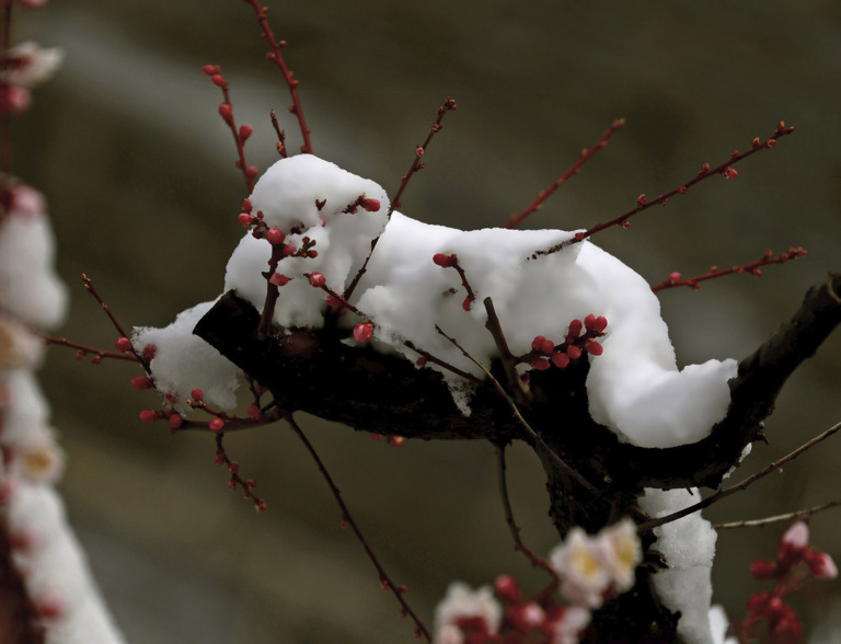 Lyu_Xinping - 7.Drunkenness