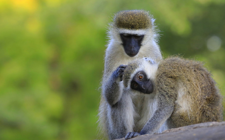 Lyu_Yanqun - Mother and Son