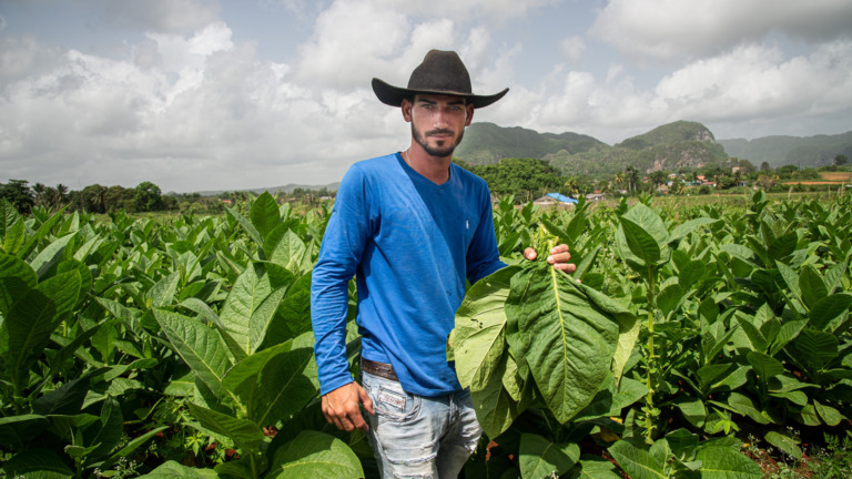 Maria_vogiatzaki - Vogiatzaki 3