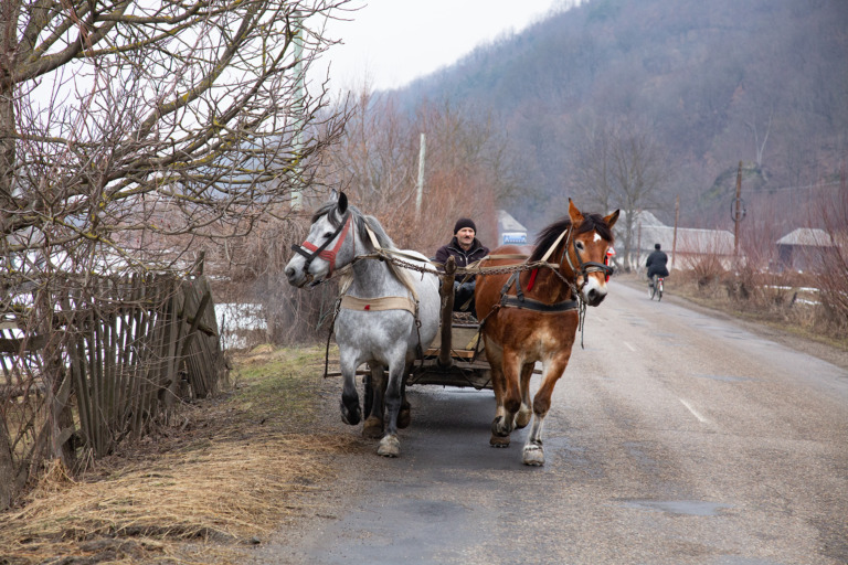 Mauro_Agnesoni - maramures 2