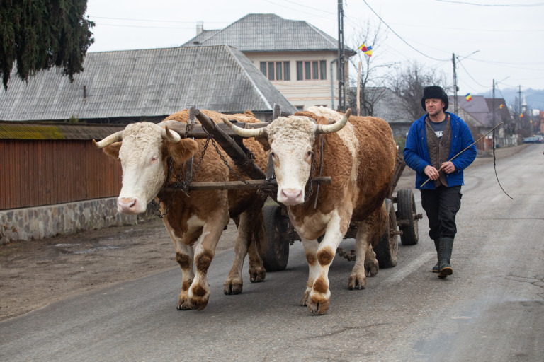 Mauro_Agnesoni - maramures 3