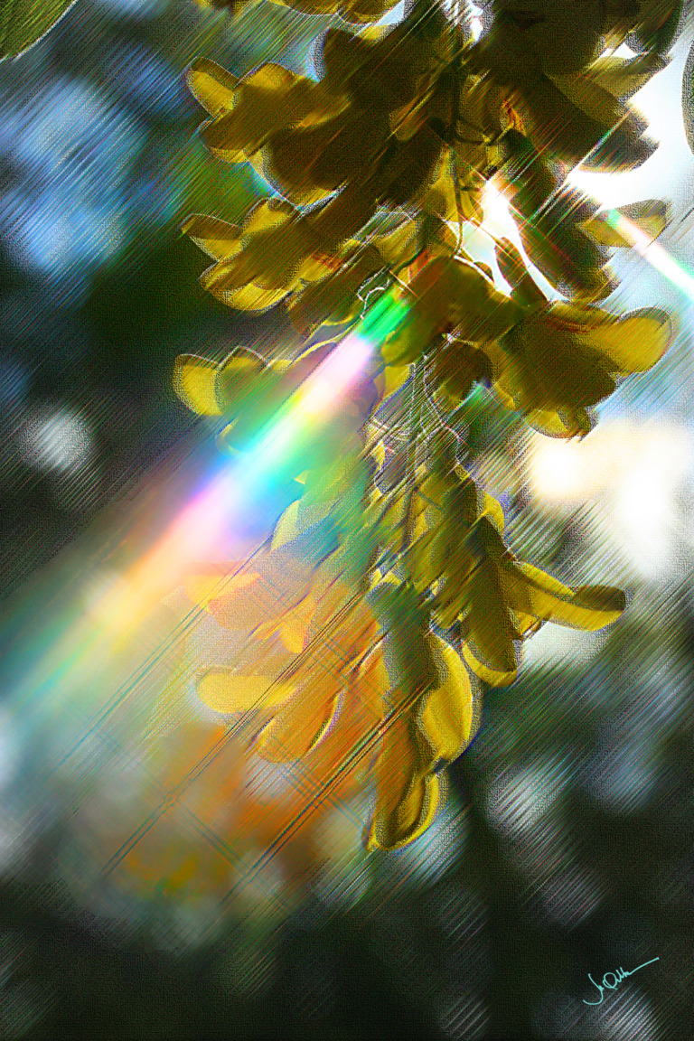 Mircea_Albu - Day of the Sun