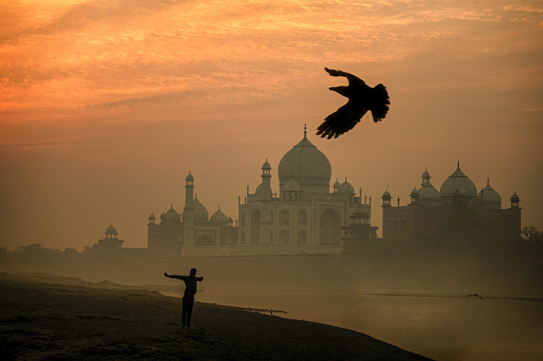 Mrinal_Sen - Vibrant dawn