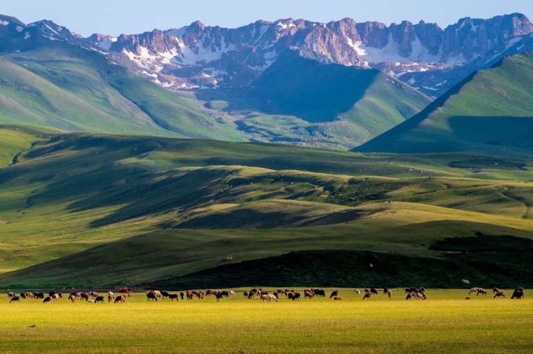 Pataki_Hajnal - Kyrgyz Meadow