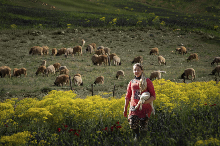 Shen_Juanjuan - Shepherdess