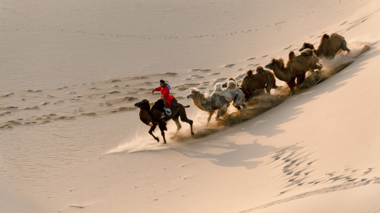 Shen_Yufeng - Lives of herdsmen 1