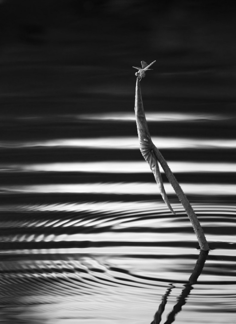 Si_Ming - Wave light