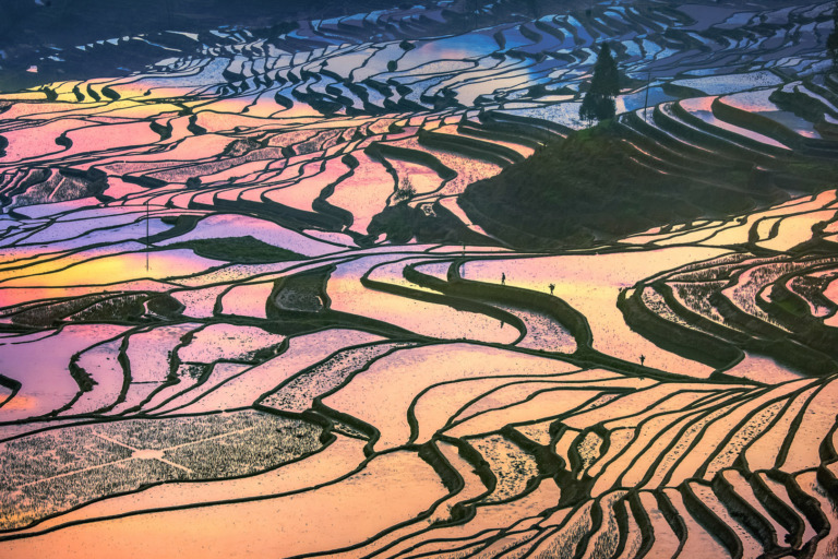 Sun_Qingsheng - 3.Phantom of the Terraces