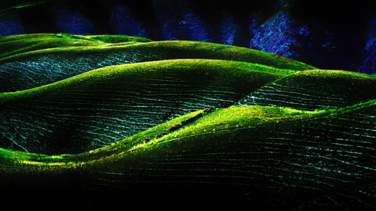 Sun_Zuoyi - 伊犁风光（喀拉峻草原） 拷贝a DeNoiseAI severe noise