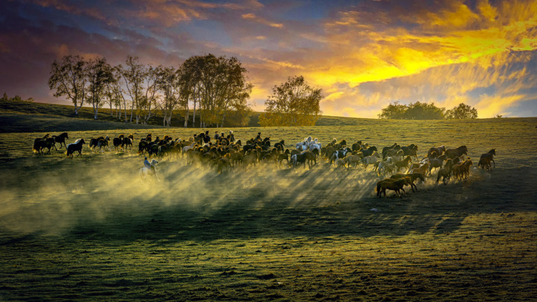 Sun_Zuoyi - 草原游侠孙作义135721735352023.9.26拍摄于内蒙乌兰布统草原