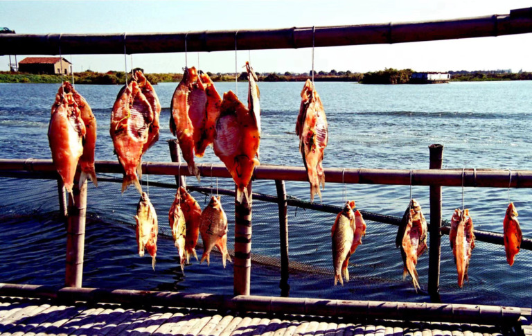 Tang_Gaoyi - Temptation