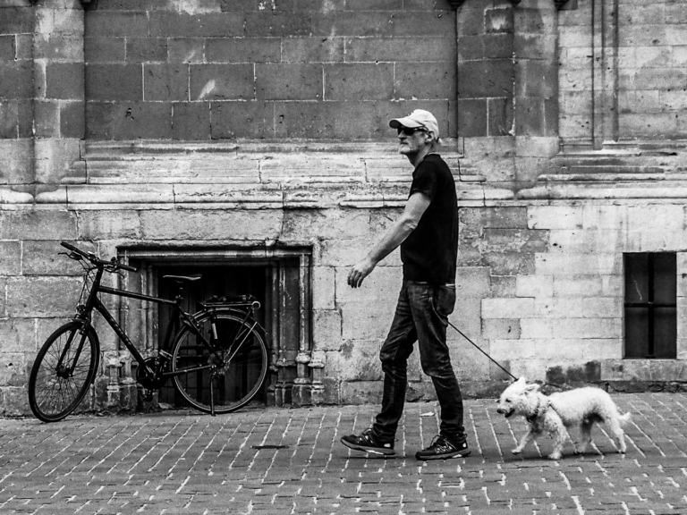 Terje_kolbeinsen - Walking The Dog 3