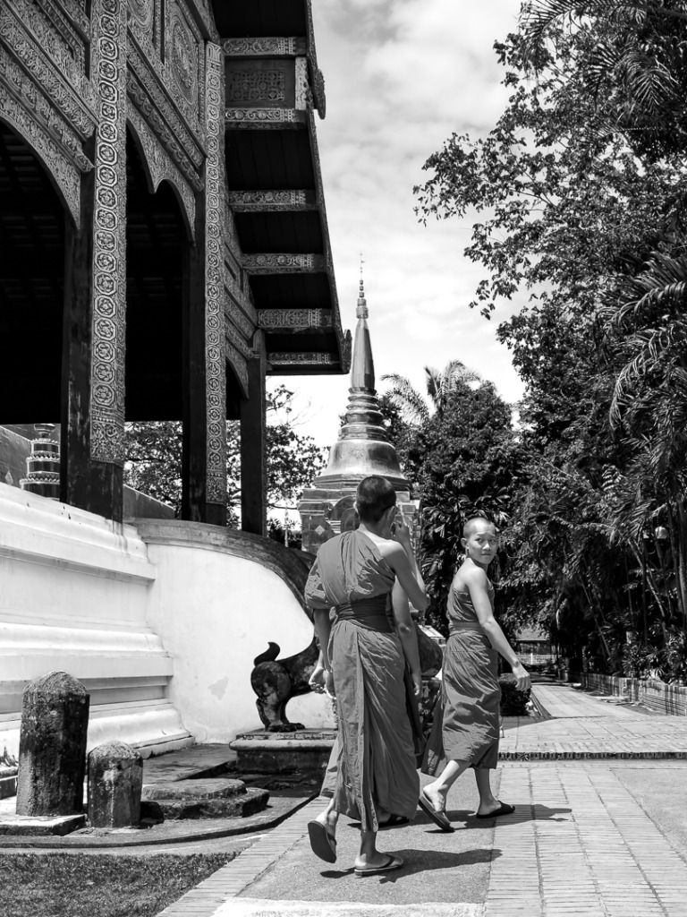 Tomasz_solak - 4. Monks