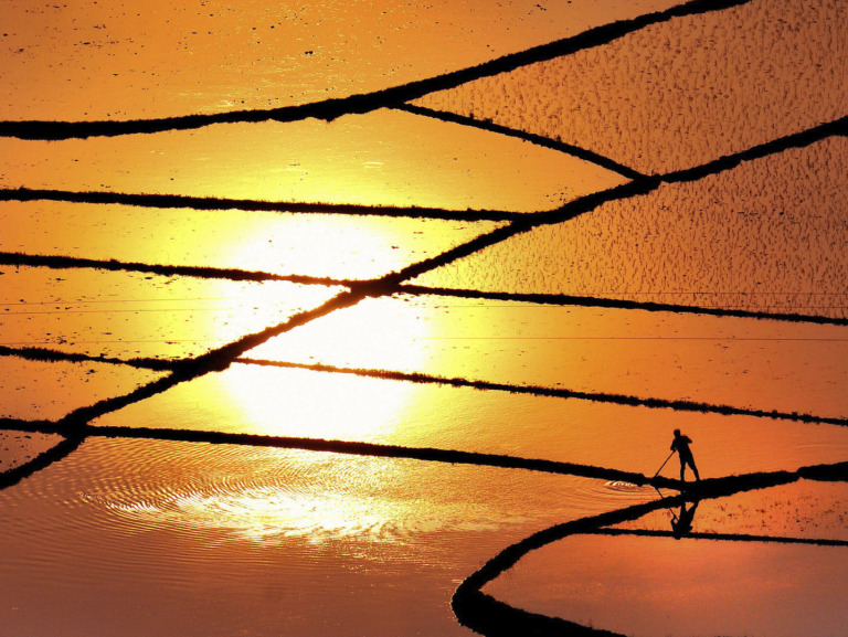 Xiao_Yefa - Working at Sunset