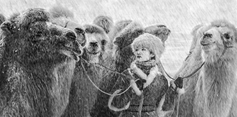 Xu_Dingya - A family