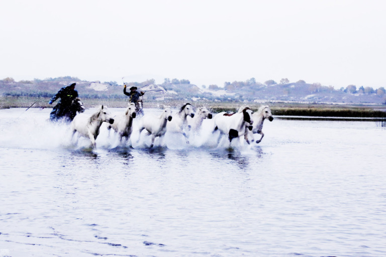 Xu_Xiaowen - 6.Galloping on the water