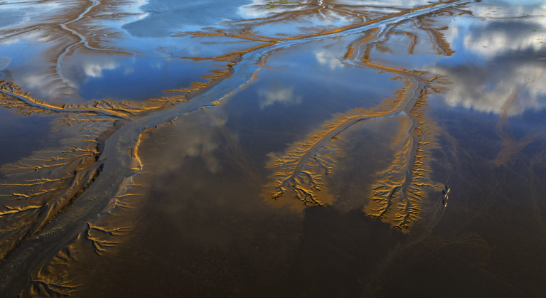 Yang_Guomei - Branches of the Sea