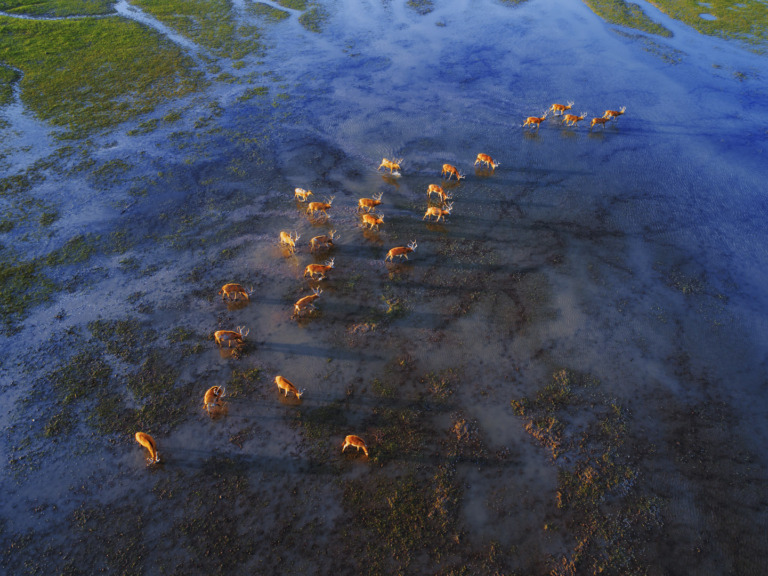 Yang_Guomei - Like fish in water