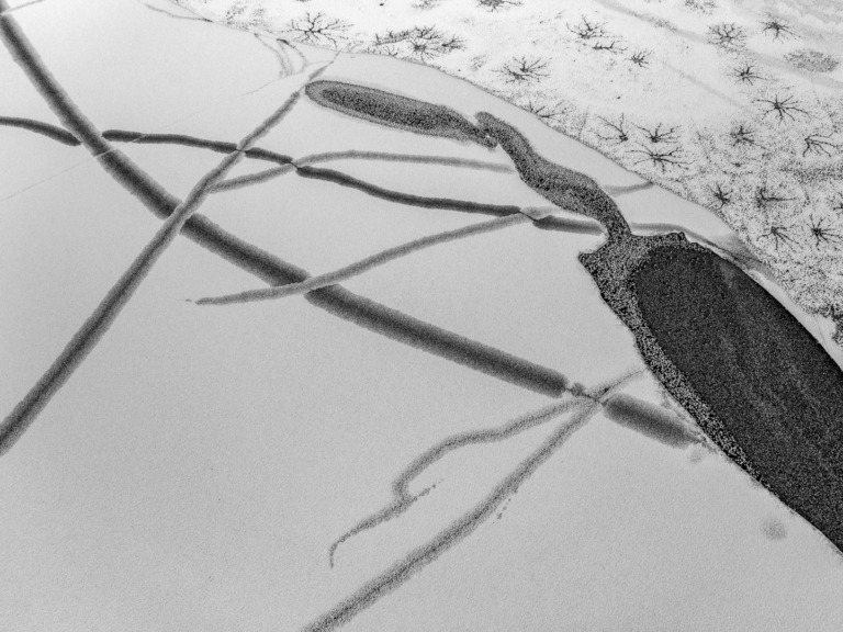 Yu_Ningtai - Flowers on Snow Photoed in Xinjiang