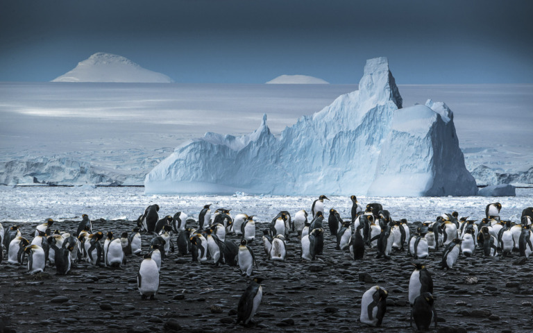 Yuan_Yongjie - Gathering at Antarctica