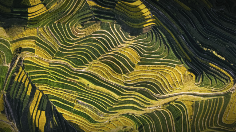 Zhang_Jiyuan - Picturesque terraces