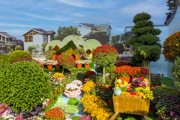Zhu_Wujiang - Blooming flowers villages