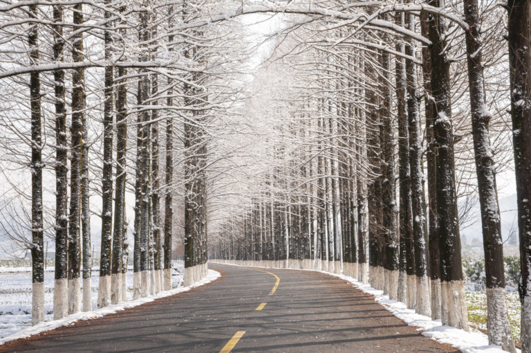 Zou_Shuigen - The road after snow