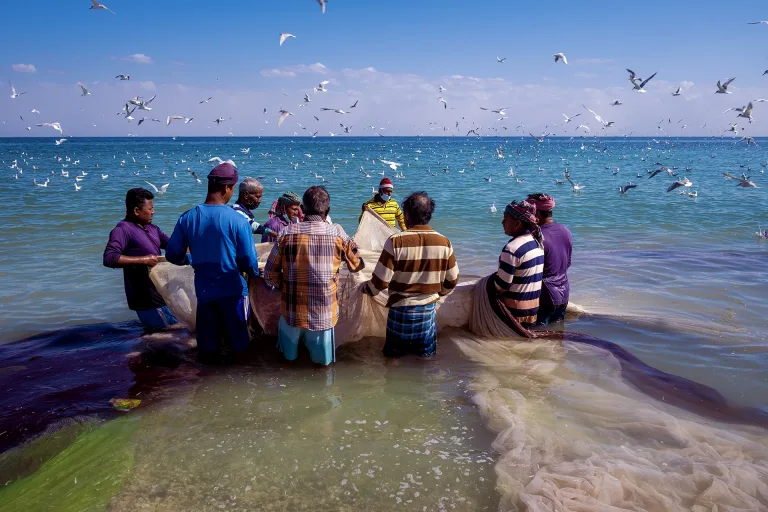 Akram Menari - details of fishings in the united arab emirates