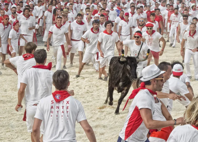 Alain Morata - 2 LANDAISES