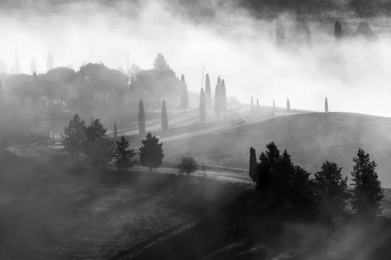 Anne Sargeant - 002 Clearing in the mist