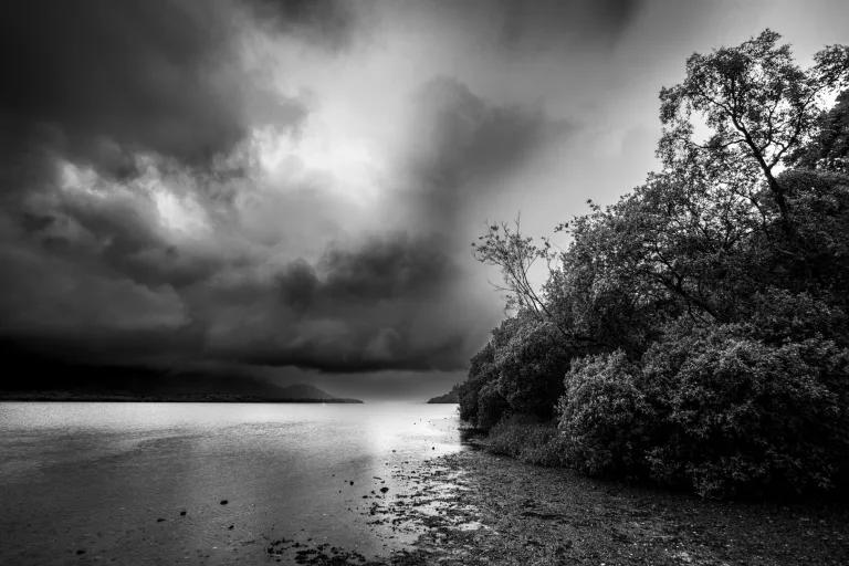 Anne Sargeant - 005 Beaute austere v2