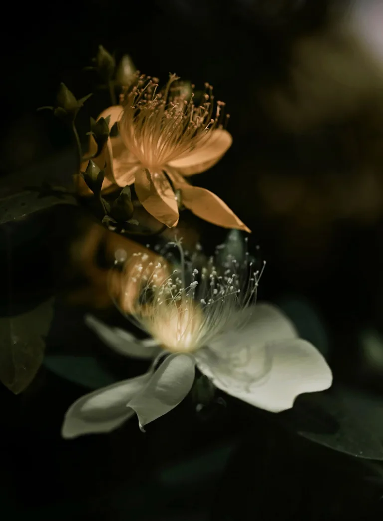 Chen Chunpin - 5 Seasonal flowers