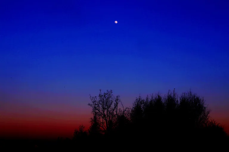 Dong Benhuai - 4月色Moonlight